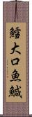 鱈;大口魚;鰔 Scroll