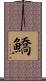 鱎 Scroll