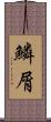 鱗屑 Scroll