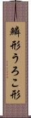 鱗形 Scroll