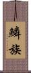 鱗族 Scroll