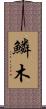 鱗木 Scroll