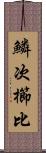 鱗次櫛比 Scroll