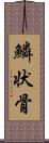 鱗状骨 Scroll