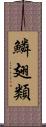 鱗翅類 Scroll
