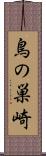 鳥の巣崎 Scroll