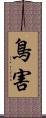 鳥害 Scroll