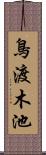 鳥渡木池 Scroll