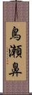 鳥瀬鼻 Scroll