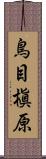 鳥目槇原 Scroll