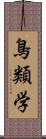 鳥類学 Scroll