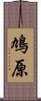 鳩原 Scroll
