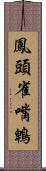 鳳頭雀嘴鵯 Scroll