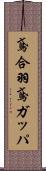 鳶合羽 Scroll