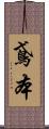 鳶本 Scroll