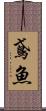 鳶魚 Scroll