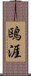 鴎涯 Scroll