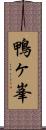 鴨ヶ峯 Scroll