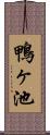 鴨ヶ池 Scroll