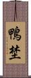 鴨埜 Scroll