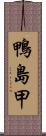 鴨島甲 Scroll