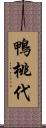 鴨桃代 Scroll