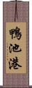 鴨池港 Scroll