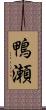 鴨瀬 Scroll