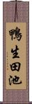 鴨生田池 Scroll