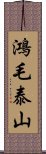 鴻毛泰山 Scroll