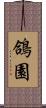 鴿園 Scroll