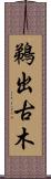 鵜出古木 Scroll