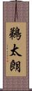 鵜太朗 Scroll