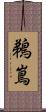 鵜嶌 Scroll