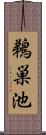鵜巣池 Scroll