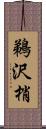 鵜沢梢 Scroll