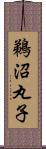 鵜沼丸子 Scroll