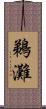 鵜灘 Scroll