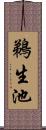 鵜生池 Scroll