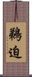 鵜迫 Scroll