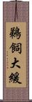 鵜飼大緩 Scroll