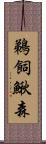 鵜飼鰍森 Scroll