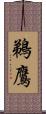 鵜鷹 Scroll