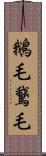 鵝毛 Scroll