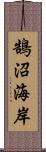 鵠沼海岸 Scroll