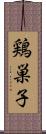 鶏巣子 Scroll