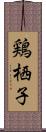 鶏栖子 Scroll