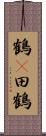 鶴(P);田鶴 Scroll