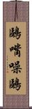 鷗嘴噪鷗 Scroll