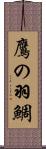 鷹の羽鯛 Scroll